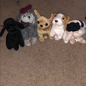 Lot of Beanie Baby Dogs